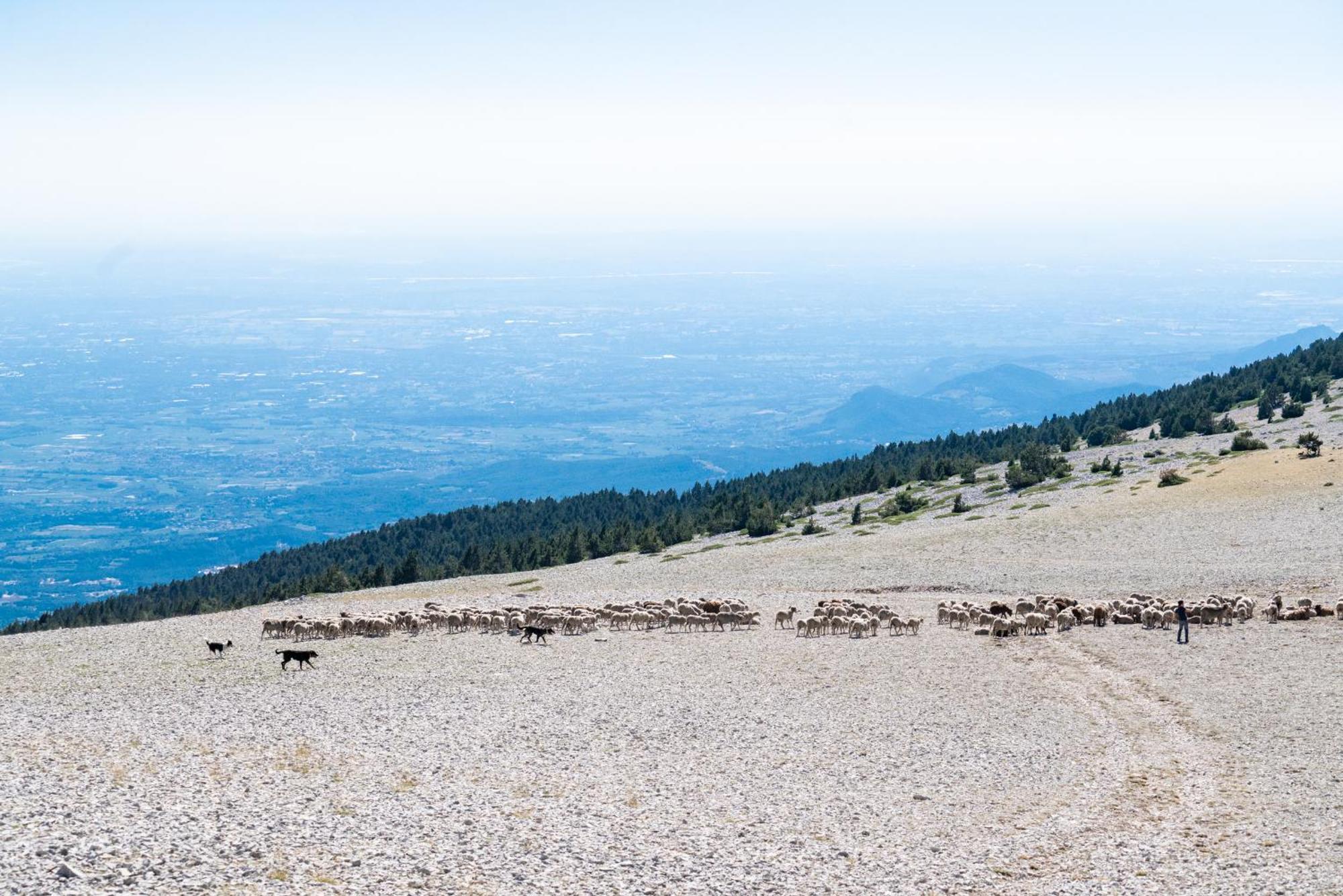 Les Terrasses De Cascavelle Βίλα Blauvac Εξωτερικό φωτογραφία