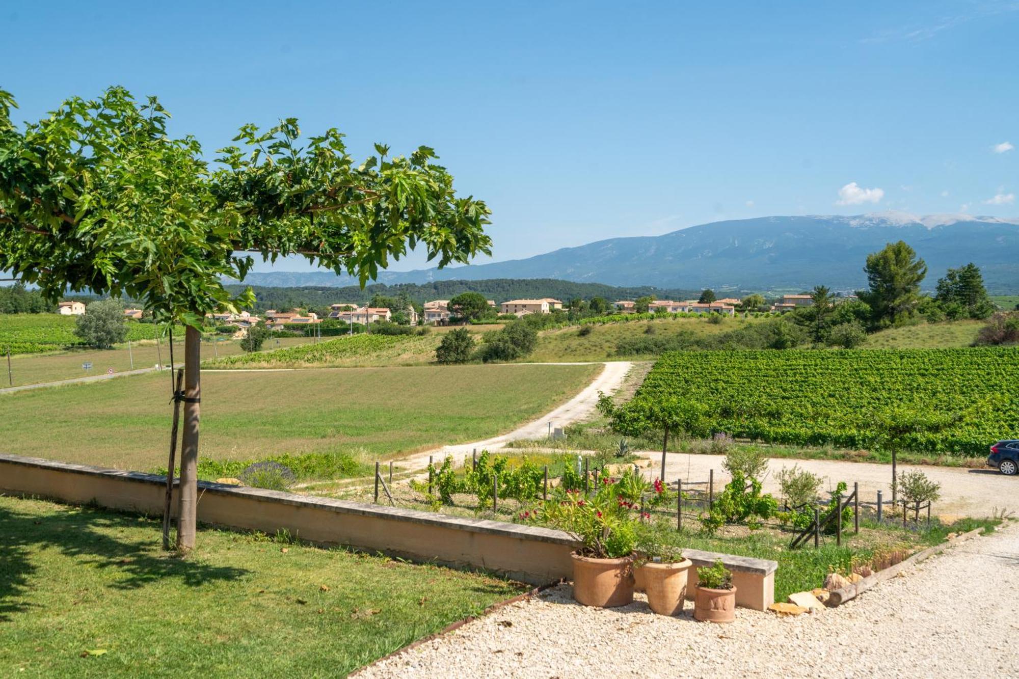 Les Terrasses De Cascavelle Βίλα Blauvac Εξωτερικό φωτογραφία