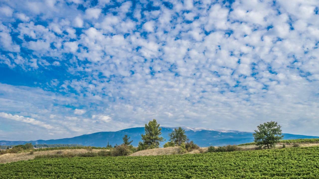Les Terrasses De Cascavelle Βίλα Blauvac Εξωτερικό φωτογραφία